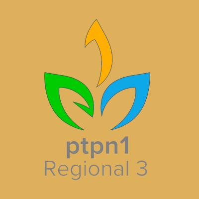 PT Perkebunan